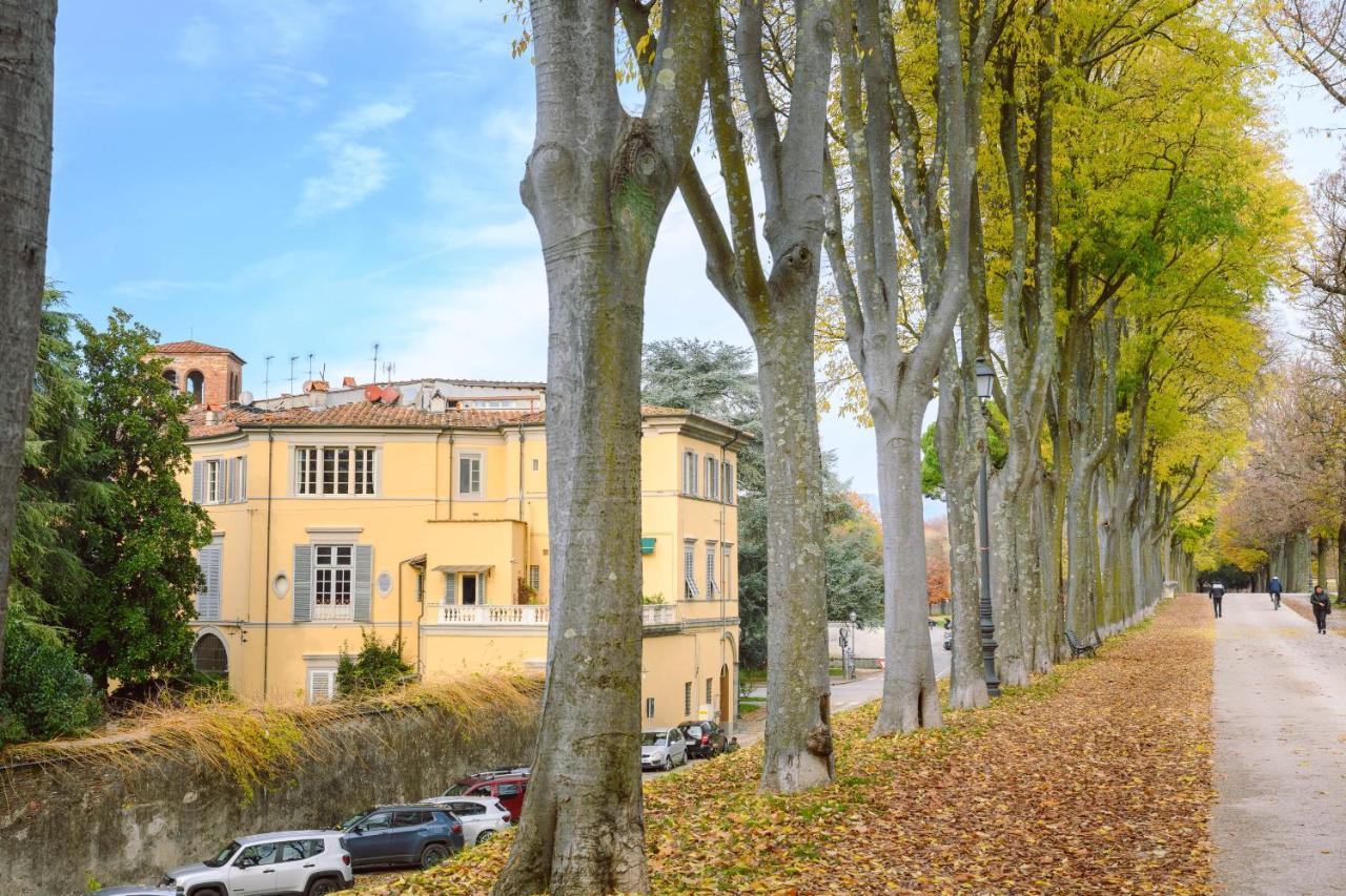 Palazzo Froussard B&B And Living Lukka Zewnętrze zdjęcie
